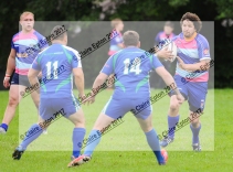 SANDS_Rugby_05